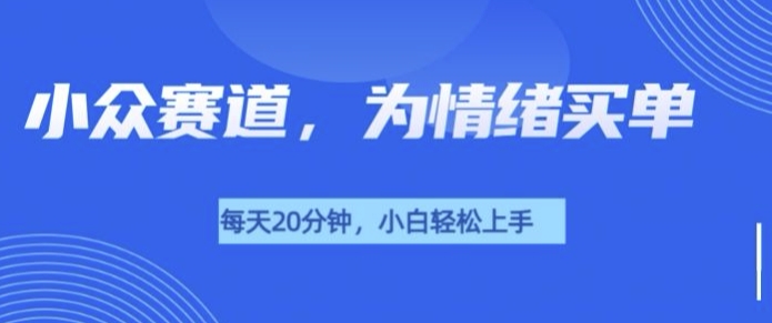 小众赛道，我的治愈系电子抱枕，让用户为情绪买单-王总副业网