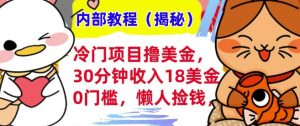 冷门项目撸美刀,30分钟收入18美刀,0门槛,懒人捡钱,无脑操作-王总副业网