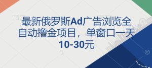 最新俄罗斯Ad广告浏览全自动撸金项目,单窗口一天10-30元-王总副业网