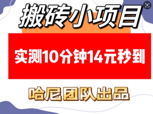 搬砖小项目，实测10分钟14元秒到，每天稳定几张(赠送必看稳定)-王总副业网