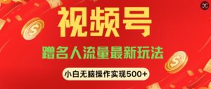 视频号名人讲座玩法,冷门蓝海项目,轻松上手日收入可达500+-王总副业网