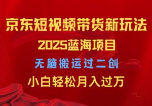 2025京东短视频带货新玩法,无脑搬运过二创,小白轻松月入过W-王总副业网