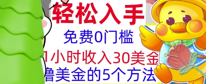 免费撸美刀的5个方法，1小时收入30美刀，0门槛，轻松入手-王总副业网