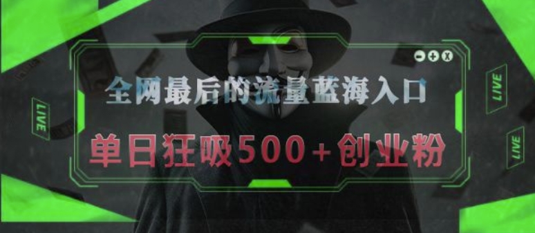 全网最后的流量蓝海入口，半小时引流50+创业粉，单日狂吸500+创业粉-王总副业网